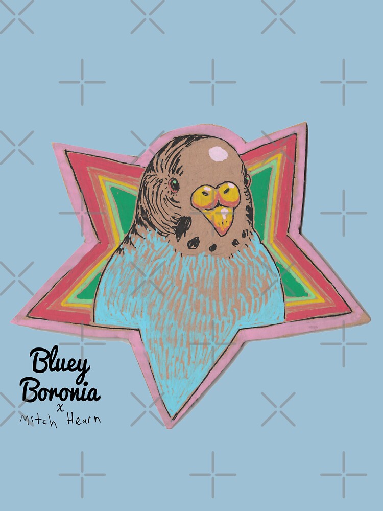 Bluey Boronia x Mitch Hearn (2020) by Bluey-Boronia