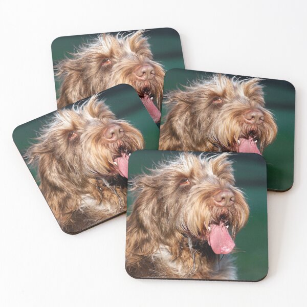 Item preview, Happy slobber Spinone by heidiannemorris © designed and sold by FOLK ART FUSION by heidiannemorris.