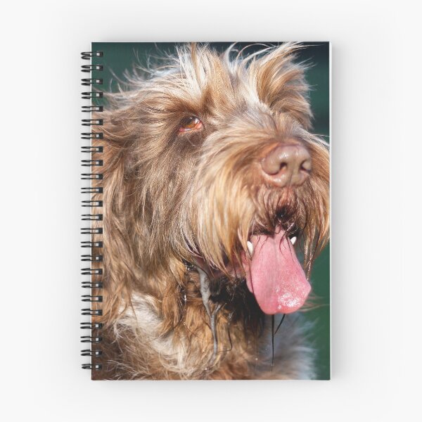 Item preview, Happy slobber Spinone by heidiannemorris © designed and sold by FOLK ART FUSION by heidiannemorris.