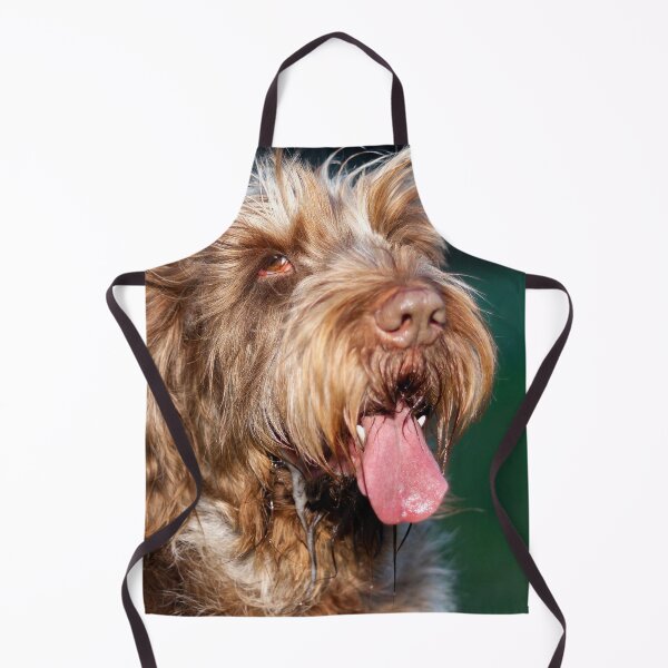 Item preview, Happy slobber Spinone by heidiannemorris © designed and sold by FOLK ART FUSION by heidiannemorris.