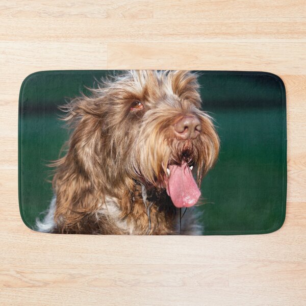 Item preview, Happy slobber Spinone by heidiannemorris © designed and sold by FOLK ART FUSION by heidiannemorris.