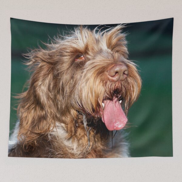 Item preview, Happy slobber Spinone by heidiannemorris © designed and sold by FOLK ART FUSION by heidiannemorris.