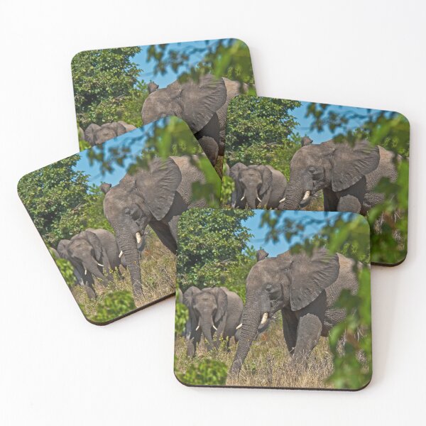 Item preview, Elephant country designed and sold by Out there! Photography.