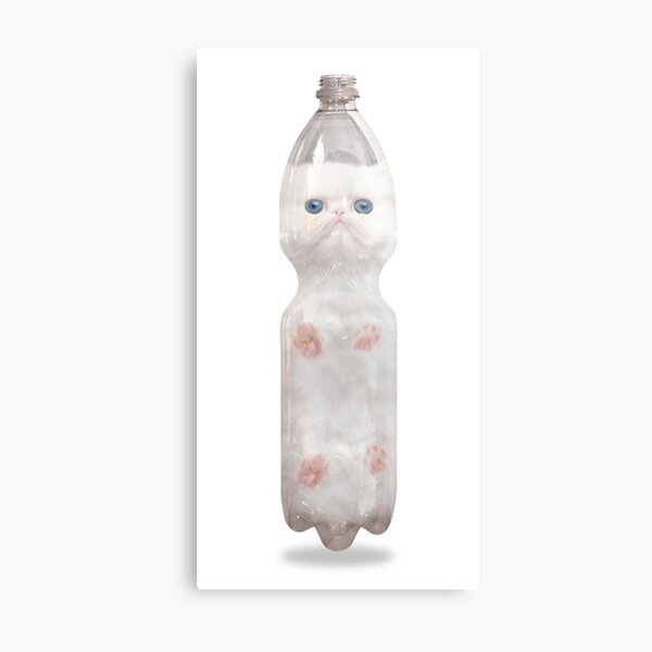 Message in a bottle PET PET CAT, cute, white, blue-eyed cat in the Lockdown 2020 meme Metal Print