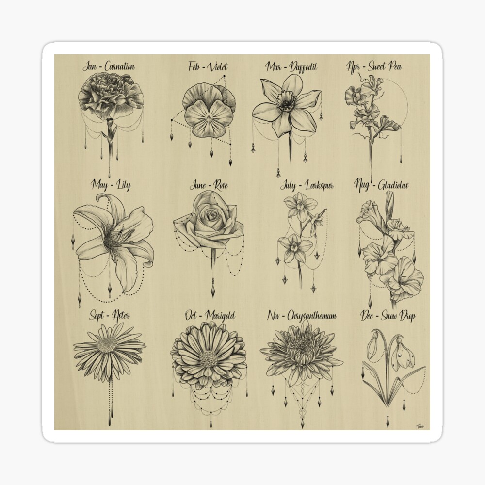 Detailed Birth Flowers Set 2 by Rebecca Wasserberg on Dribbble