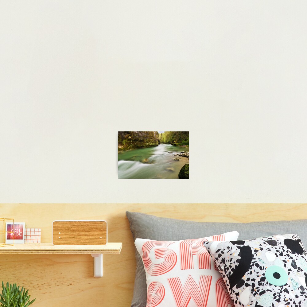Shining springtime Photographic Print