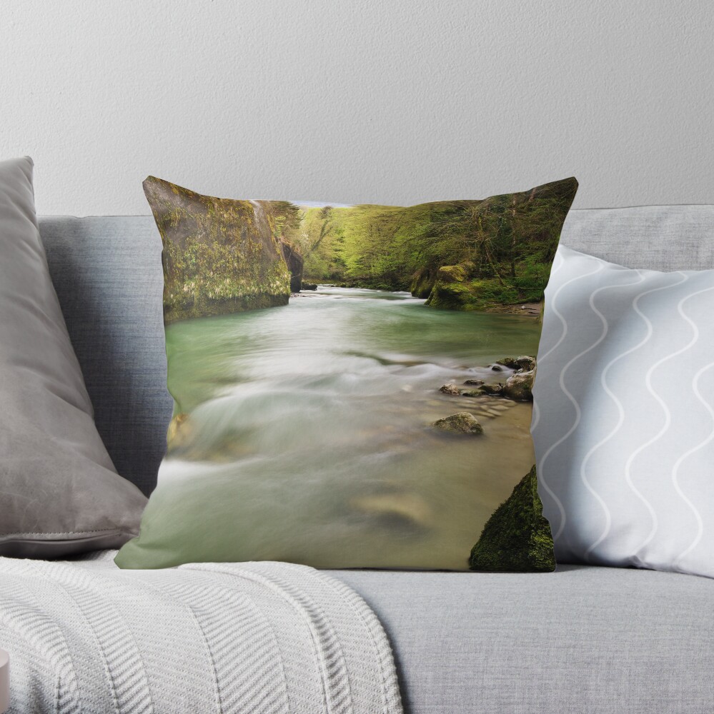 Item preview, Throw Pillow designed and sold by patmo.