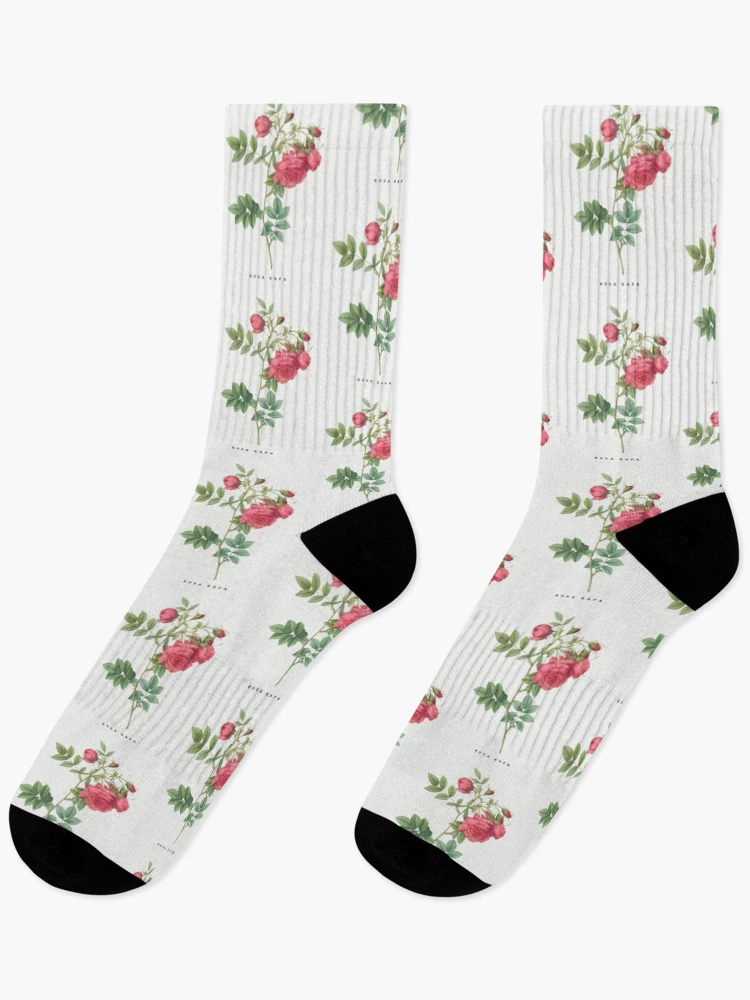 Thumbnail 1 of 5, Socks, Turnip Roses, Rosa rapa from Les Roses. designed and sold by Aleksys.