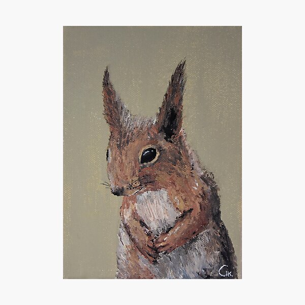 Item preview, Squirrel Chonks designed and sold by GKVL.