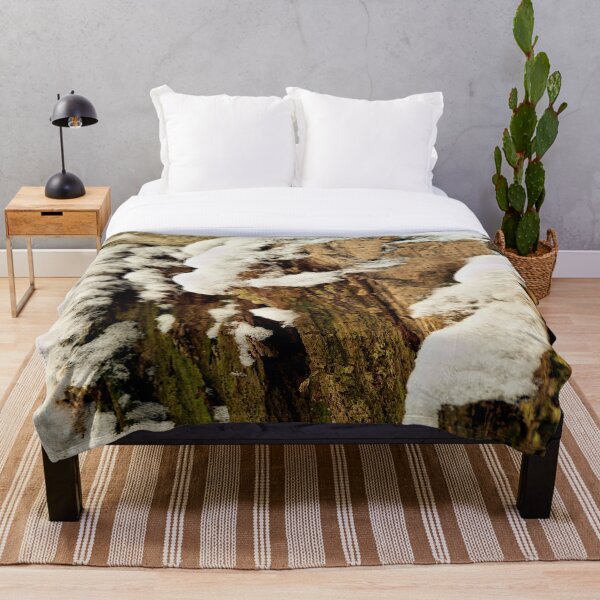 Item preview, Rotten tree stump in the first snow designed and sold by frankuffmann.