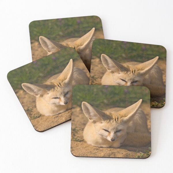 Item preview, Fennec fox designed and sold by Out there! Photography.
