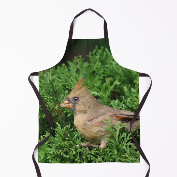 Item preview, Female Northern Cardinal designed and sold by cherylorraine.
