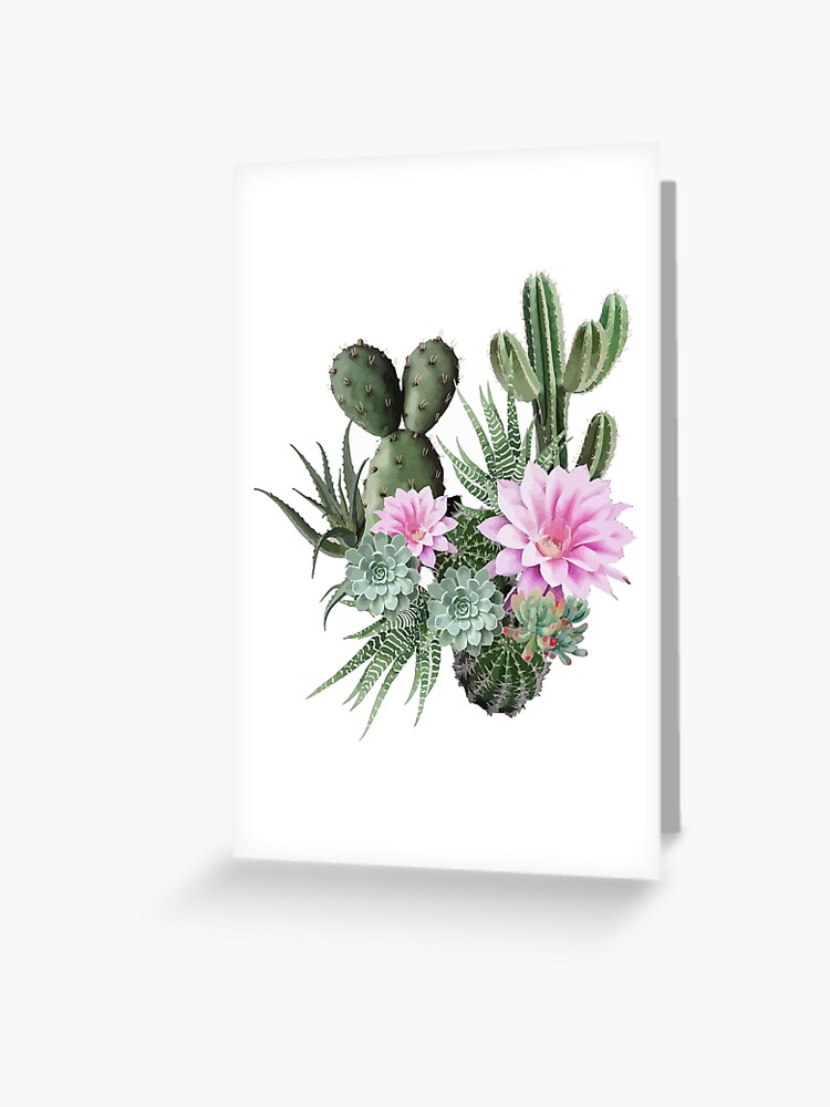 Tarjetas de felicitación «Composición de suculentas con cactus y flores,  acuarela, dibujo fresco de plantas suculentas» de Collagedream | Redbubble