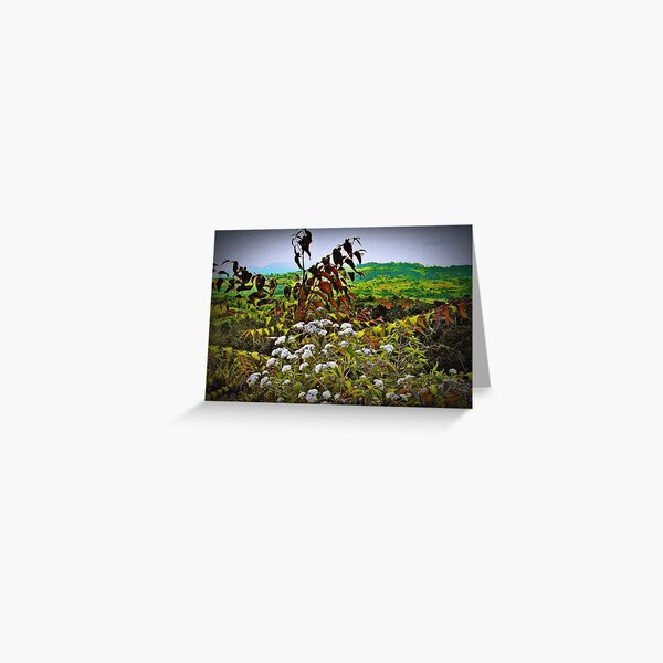 The Wild Bunch (please see description) Greeting Card