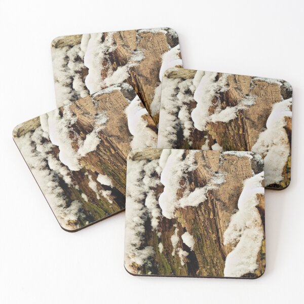 Item preview, Rotten tree stump in the first snow designed and sold by frankuffmann.