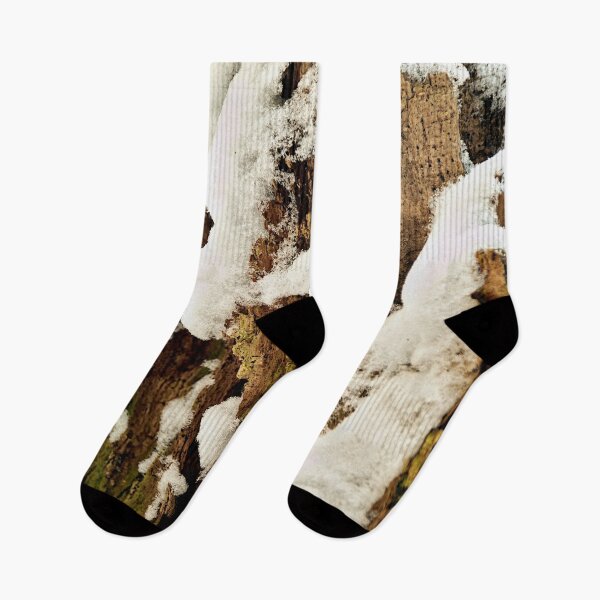 Item preview, Rotten tree stump in the first snow designed and sold by frankuffmann.