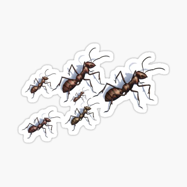 Happy Ant Family on an Expedition Sticker