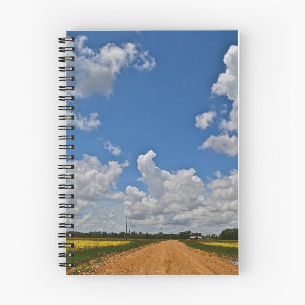 Item preview, Clarksdale, Mississippi designed and sold by wallace lester.