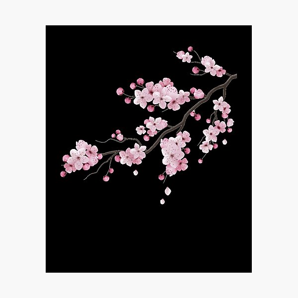 Japanese Sakura Graphic Vintage Cherry Blossom Sakura Tree
