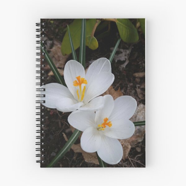 Item preview, Ivory Blooms designed and sold by KOKeefeArt.