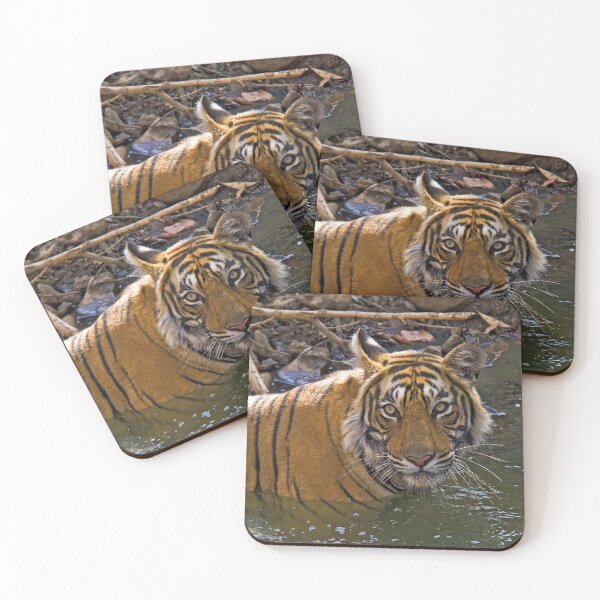 Item preview, Bengal Tiger (Panthera tigris) designed and sold by Out there! Photography.