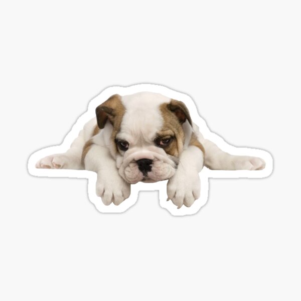 Bulldogge Welpe Sticker