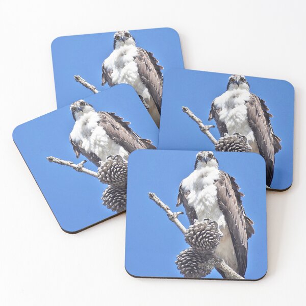Item preview, Osprey Bird designed and sold by concettaellis.