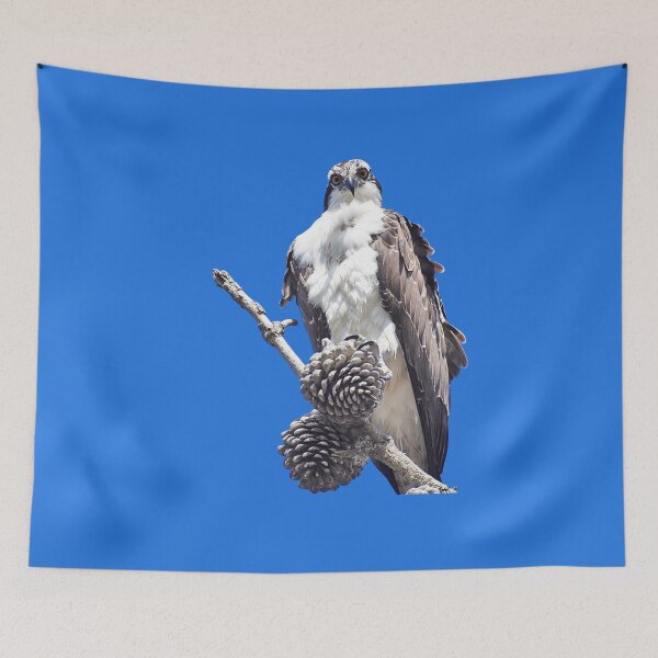 Item preview, Osprey Bird designed and sold by concettaellis.