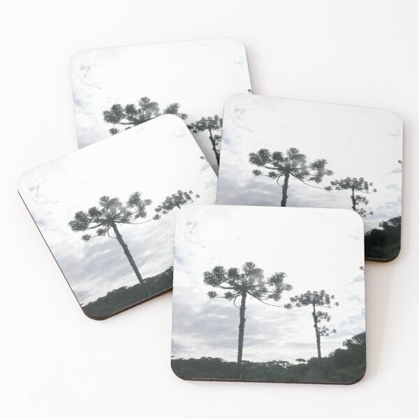 Item preview, Brazilian Auracaria designed and sold by Studio MaC.