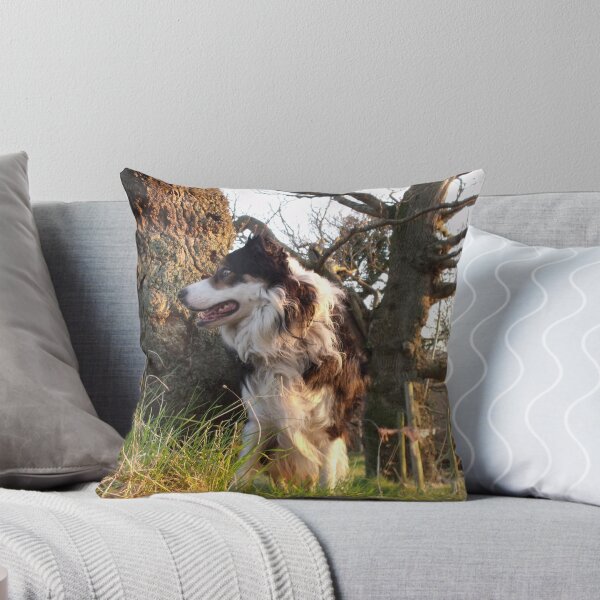 Item preview, Delight of Laddie designed and sold by Michael Haslam.
