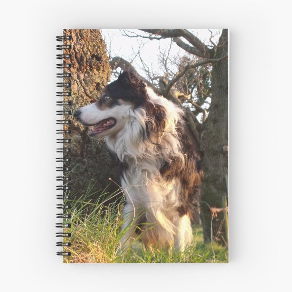 Item preview, Delight of Laddie designed and sold by Michael Haslam.