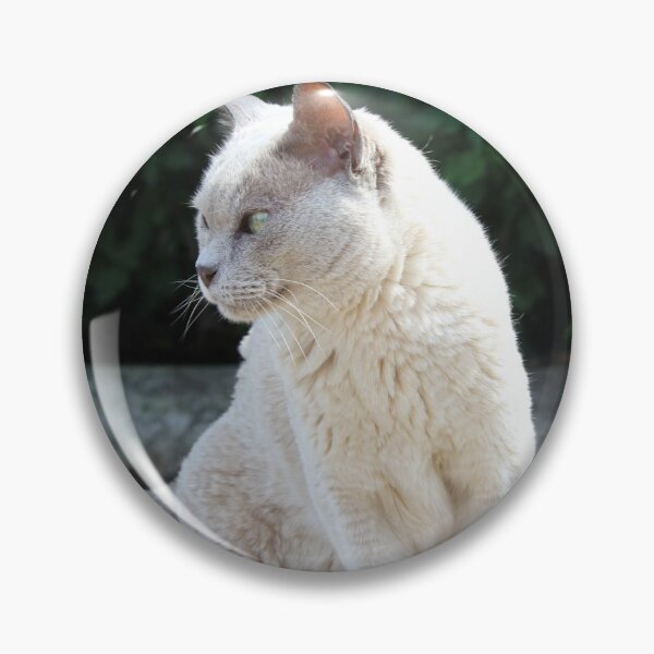 Artikelvorschau, Malerische Katze entworfen und verkauft von Charley-Photo.