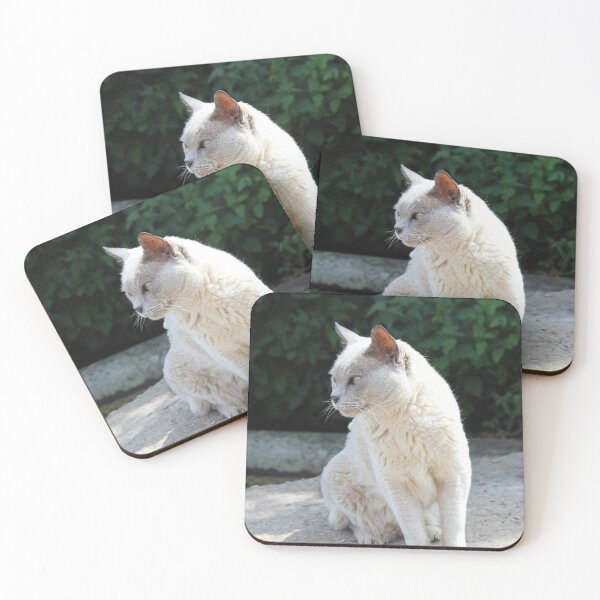 Item preview, Picturesque Cat  designed and sold by Charley-Photo.