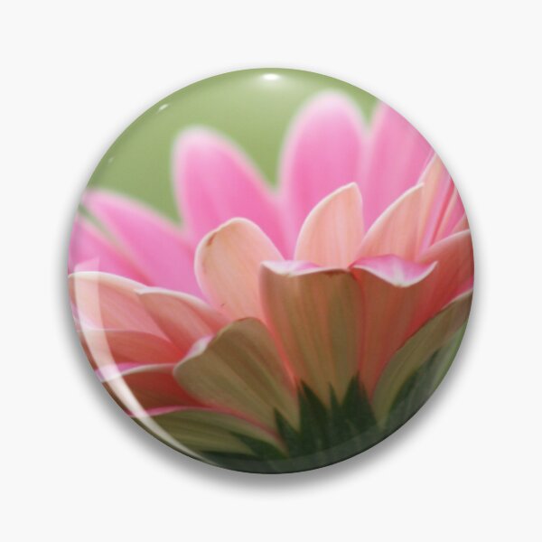 Item preview, Looking up with Beauty designed and sold by JLPPhotos.
