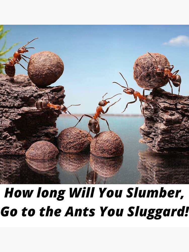 "Choices with Inspirational Quotes and Ants Designs" Poster for Sale by