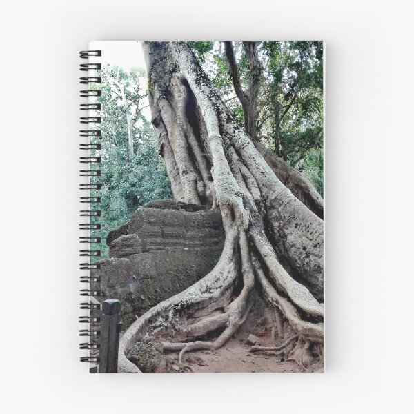 Item preview, Tra Prohm temple - Cambodia designed and sold by Studio MaC.
