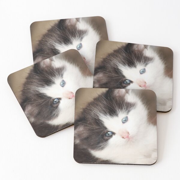 Item preview, Fluffy Feline designed and sold by JLPPhotos.