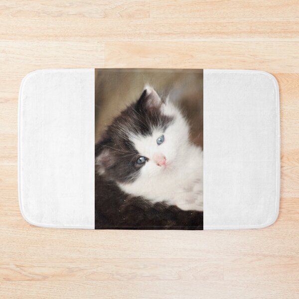 Artikelvorschau, Fluffy Feline entworfen und verkauft von JLPPhotos.