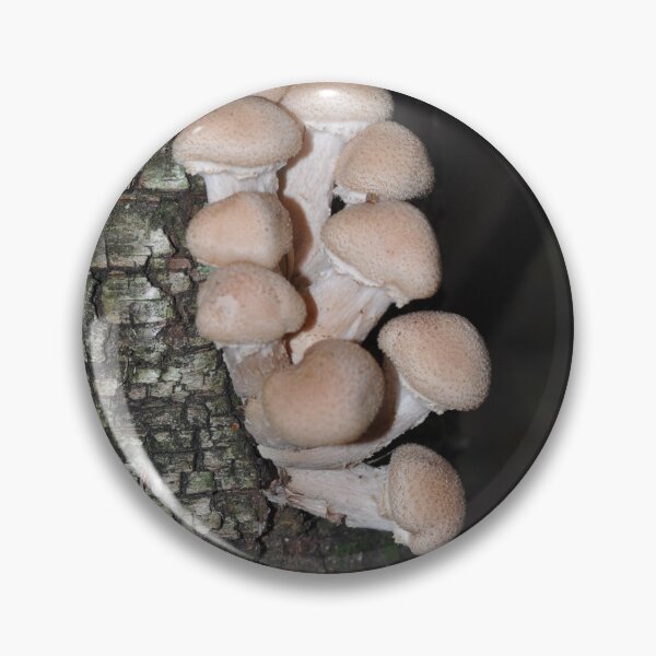 Item preview, Mushrooms on a Tree designed and sold by Theophanes Avery.