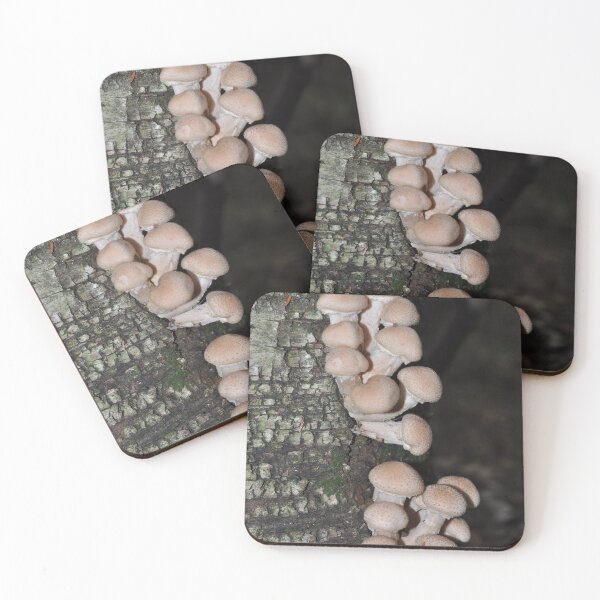 Item preview, Mushrooms on a Tree designed and sold by Theophanes Avery.