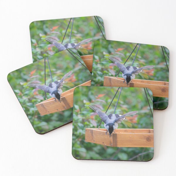 Item preview, Take a Bow designed and sold by Andrea Swiedler.