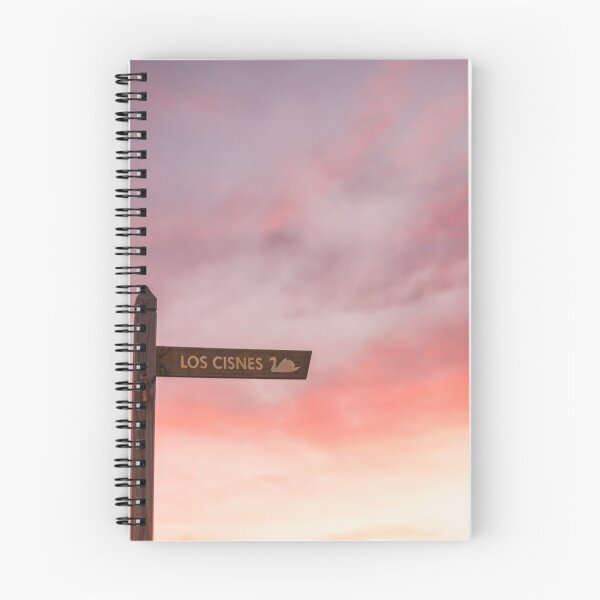 Item preview, The swans - Clouded sunset and sign designed and sold by ninasclicks.