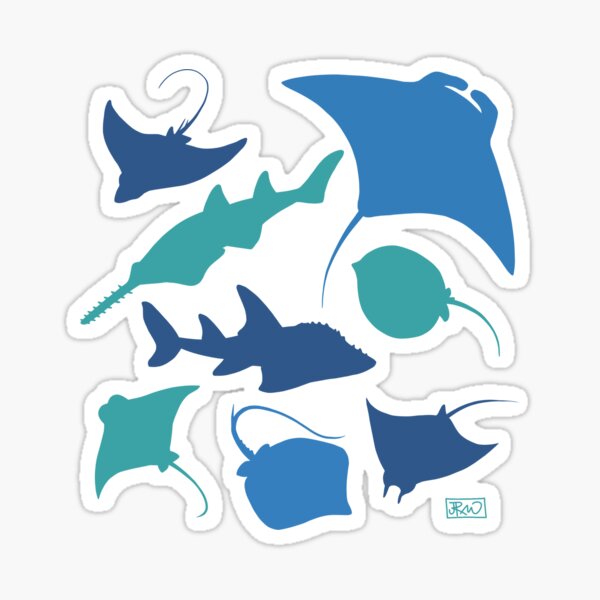 Rays! Sticker