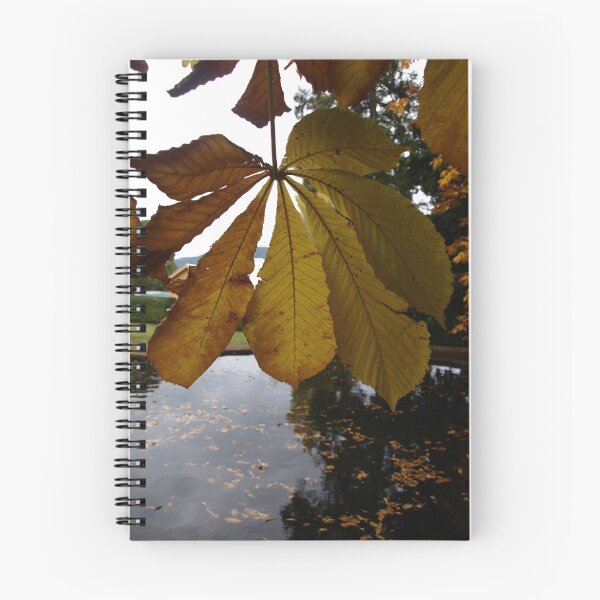 Item preview, Horse Chestnut Tree Autumn the Salmon Ponds, Tasmania designed and sold by Tom McDonnell.