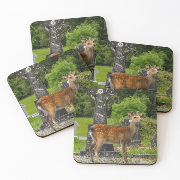 Item preview, Young deer on the Irish Graveyard of Muckross Abbey, an Old Irish Monastery in Killarney National Park designed and sold by AlbertMi.