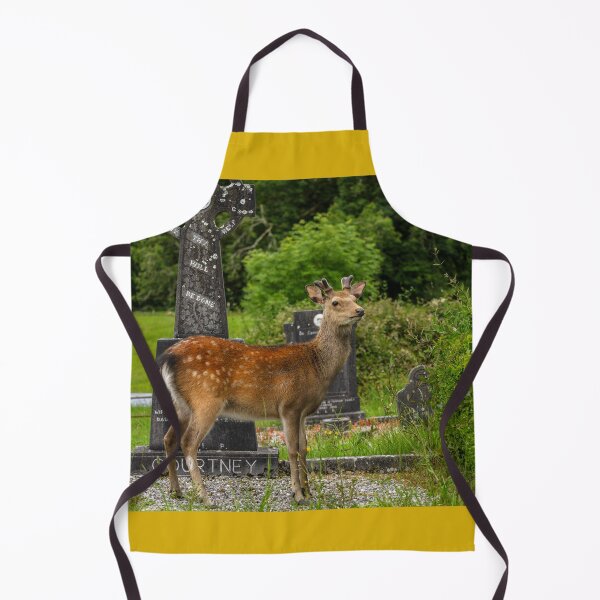 Item preview, Young deer on the Irish Graveyard of Muckross Abbey, an Old Irish Monastery in Killarney National Park designed and sold by AlbertMi.