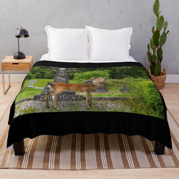 Item preview, Young deer on the Irish Graveyard of Muckross Abbey, an Old Irish Monastery in Killarney National Park designed and sold by AlbertMi.