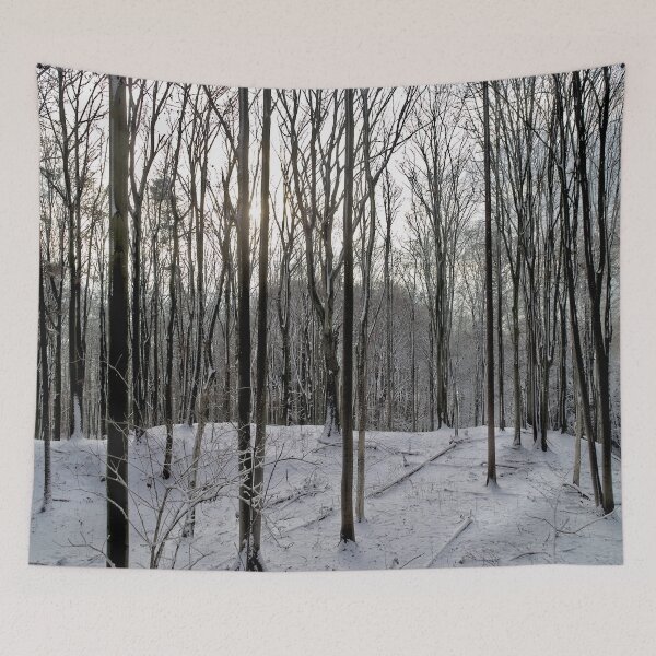 Item preview, Sunset in the winter forest II designed and sold by frankuffmann.