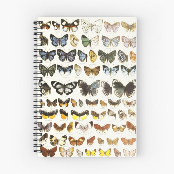 Item preview, Vintage Butterflies Illustration from 1846 designed and sold by VintageAndy.