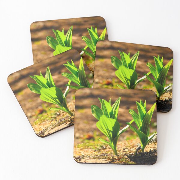 Item preview, Blooming designed and sold by Artdianarada.